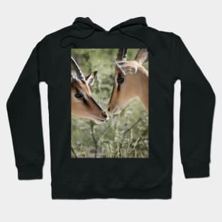 Deer Love Hoodie